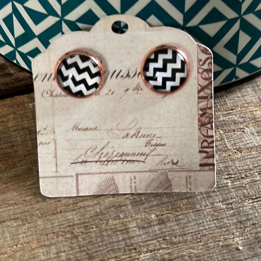 Cute NWT Chevron Pattern Earrings
